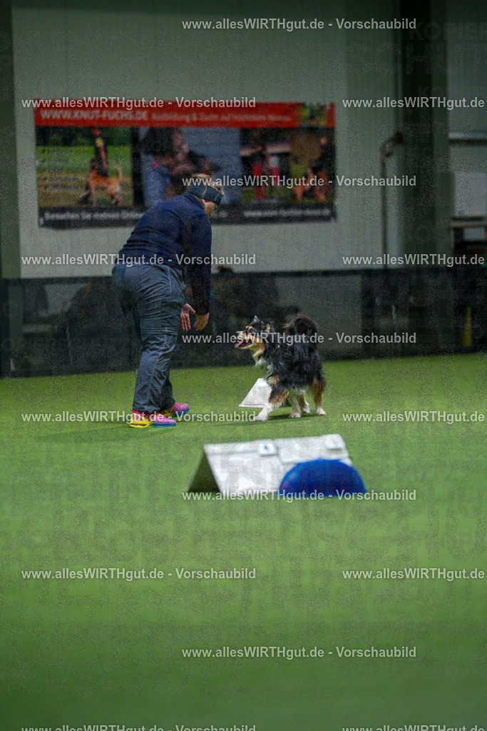 7R504308 | Professionelle Tierfotografie in Mönchengladbach von Daniel Wirth (allesWIRTHgut). Liebevolle & natürliche Bilder von Hunden & Katzen für unvergessliche Erinnerungen.