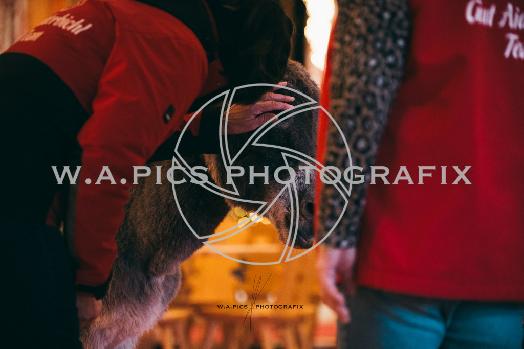 A-Willdoner_20251223_332 | Sport-,  Presse- und Eventbegleitung!
Contact me !
