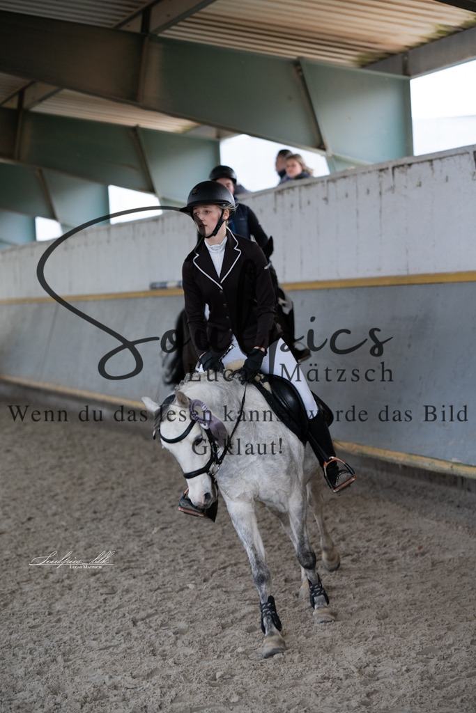 A7V01347 | Pferdefotograf