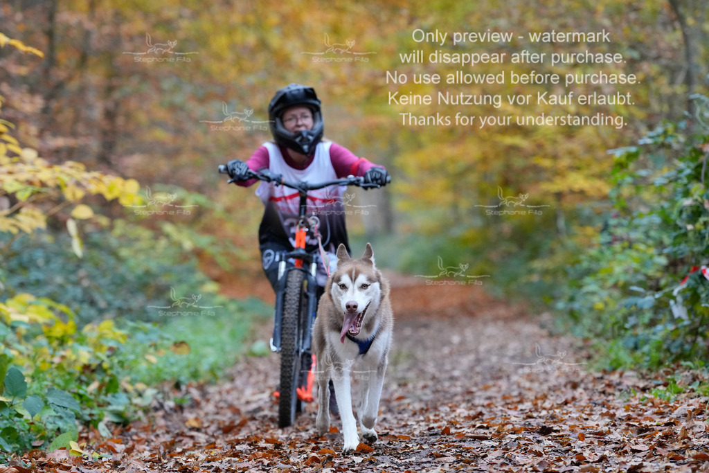 Scooter_So-108 | stephaniefillaphotographie - Realisiert mit Pictrs.com