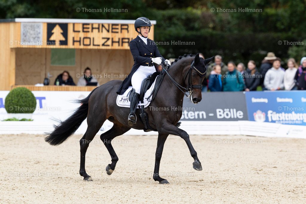TH_370_ 370-NIELSEN Victoria (GER)_ Prinzessin Paula_21749 | CHI Donaueschingen 2024 am 14.09.24 in Donaueschingen, 370, 370NIELSEN Victoria (GER), Prinzessin Paula