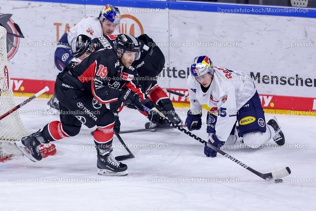 KEC28012501024 | 28.01.2025, Eishockey, DEL, Kölner Haie - EHC Red Bull München, Spieltag 41, Lanxess-Arena Köln: Frederik Storm (Kölner Haie #19) und Jan Luca Sennhenn (Kölner Haie #17) im Zweikampf gegen Nikolaus Heigl (EHC München #15)