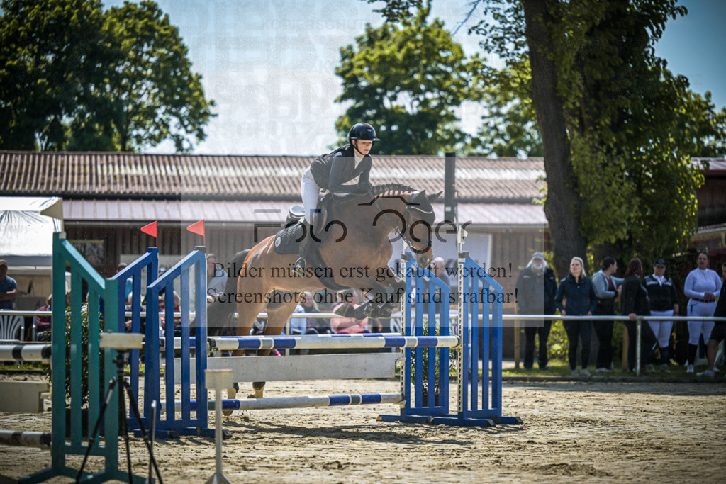 DOS_9085 | Entdecke hochwertige Reitturnierfotos von Foto Oger. Professionell, emotional und authentisch – jetzt Lieblingsmomente im Shop bestellen.Deutschlandweite Turnierfotografie. - Realisiert mit Pictrs.com