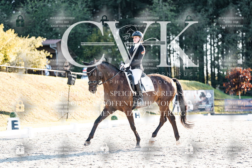 CK907181 | Turnierfotografie Pferdefotografie Trier Rheinland-Pfalz Pferdesport Reitsport Tierfotografie Sportfotografie Pferdevideo Pferdevideografie Equestrianvideography equestrianphotography  - Realisiert mit Pictrs.com