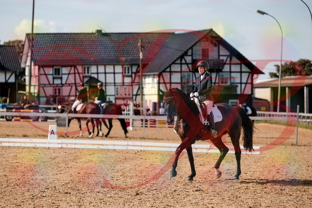 2026_10_03_Siefer-Hof_133618_Z63_96643884 | Professionelle Reitsport-, Turnier- und Eventfotografie von Robert Broda. Galerien mit ausgewählten und bearbeiteten Bildern direkt online ansehen und bestellen.