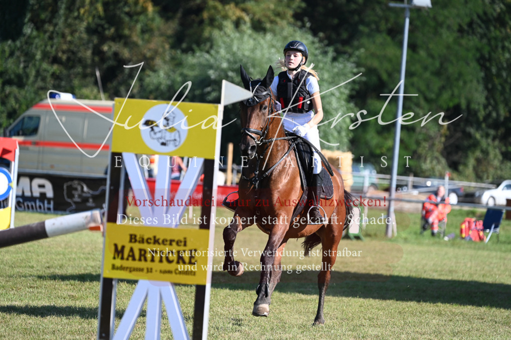DSC_5152 | Pferde- und Turnierfotografie in Westsachsen. Pferdeportraits, Auftragszeichnungen und intuitive Kunst.