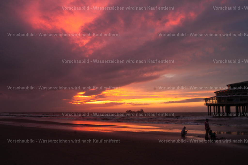 DSC00726-4 | marcuslinek