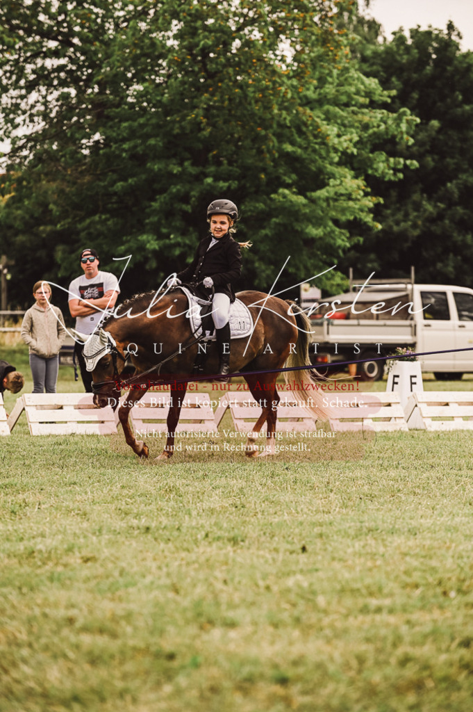 DSC_5233 | Pferde- und Turnierfotografie in Westsachsen. Pferdeportraits, Auftragszeichnungen und intuitive Kunst.
