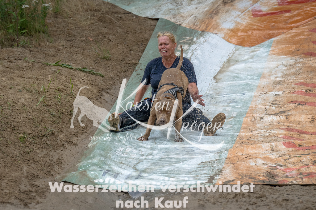 1650_ZZ90591-Bearbeitet | kk-dogfotos