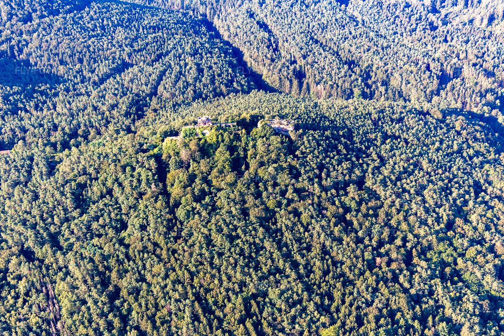 Luftbild: Runie der Burg Drachenfels in Busenberg im Bundesland Rheinland-Pfalz in Deutschland. Foto: IMG_143186.jpg vom 06.08.2024 durch Werner Riehm/FLY-FOTO.deWWW.WANDERPARADIES-WASGAU.DE