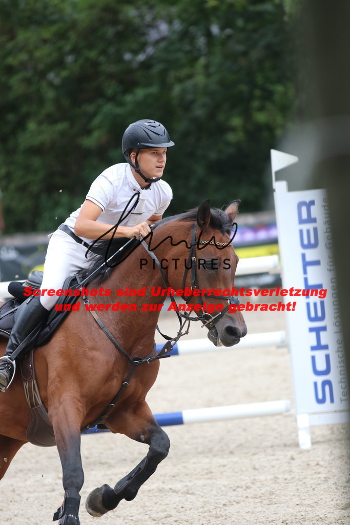 IMG_8133 | lmwpictures - Realisiert mit Pictrs.com