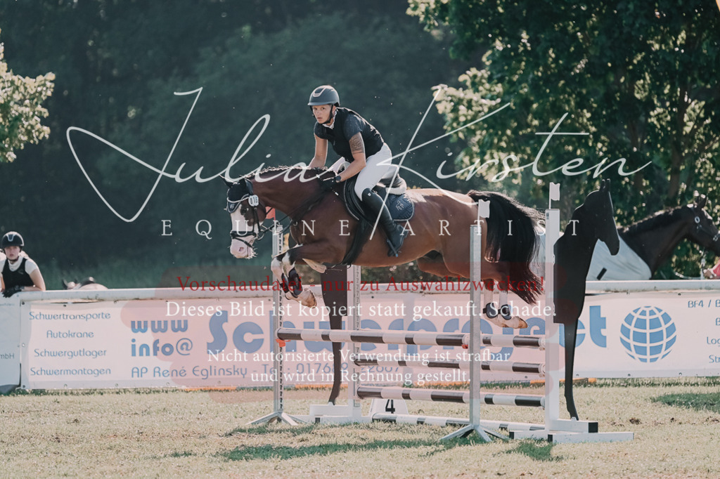 DSC_4732 | Pferde- und Turnierfotografie in Westsachsen. Pferdeportraits, Auftragszeichnungen und intuitive Kunst.