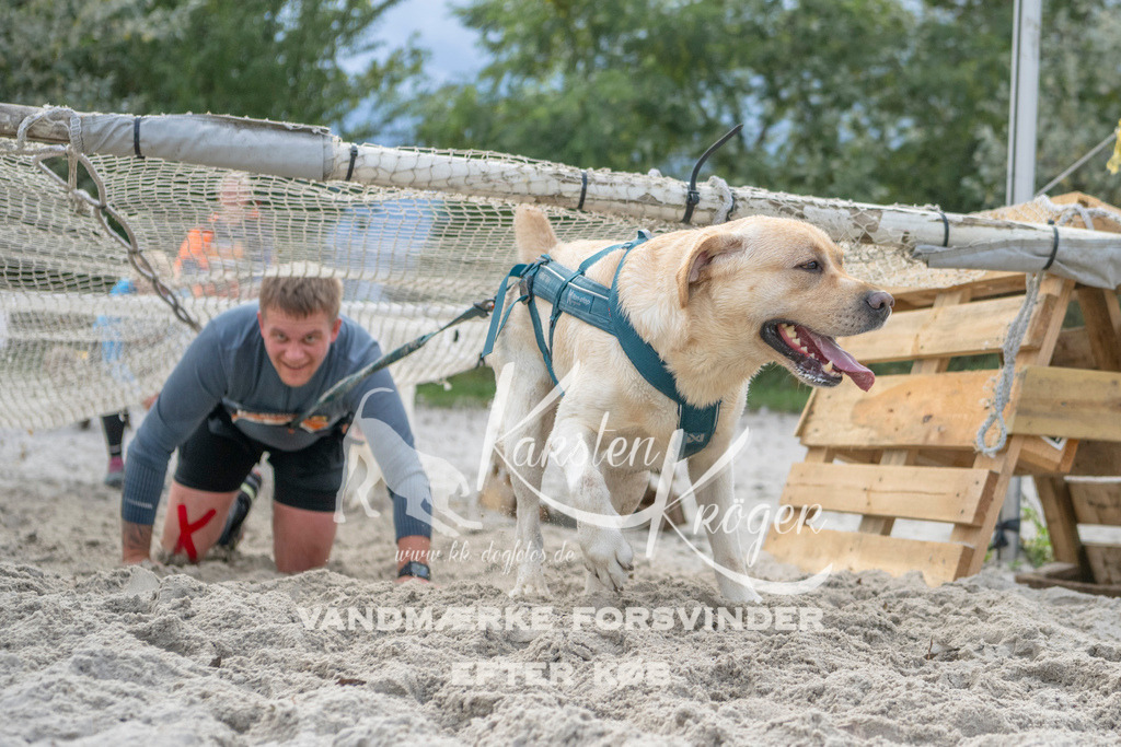 1133_ZZ97515 | kk-dogfotos