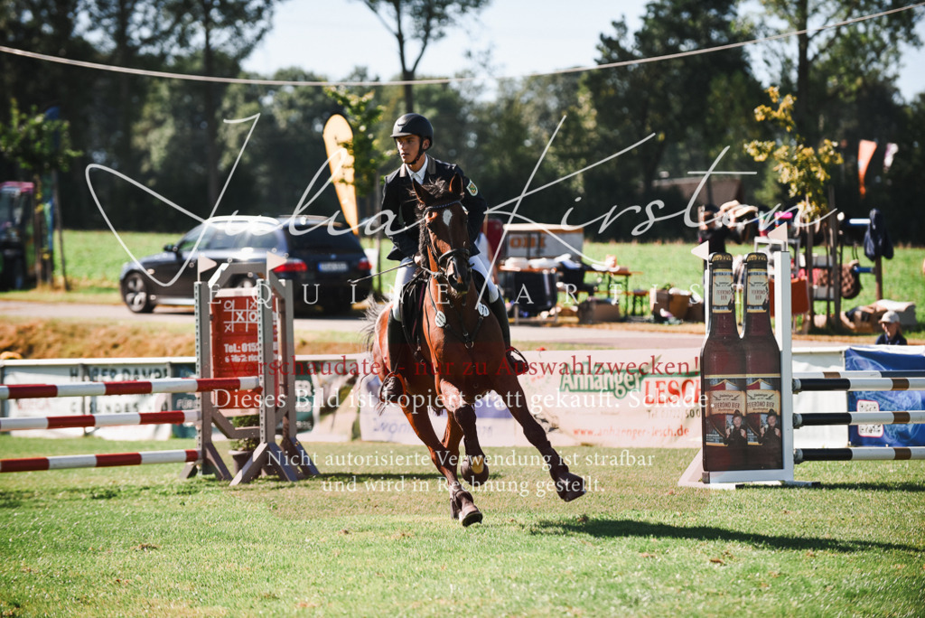 DSC_2496 | Pferde- und Turnierfotografie in Westsachsen. Pferdeportraits, Auftragszeichnungen und intuitive Kunst.