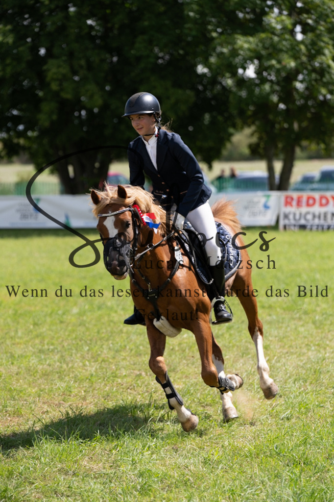 A7V04400 | Turnier/Reitfotograf