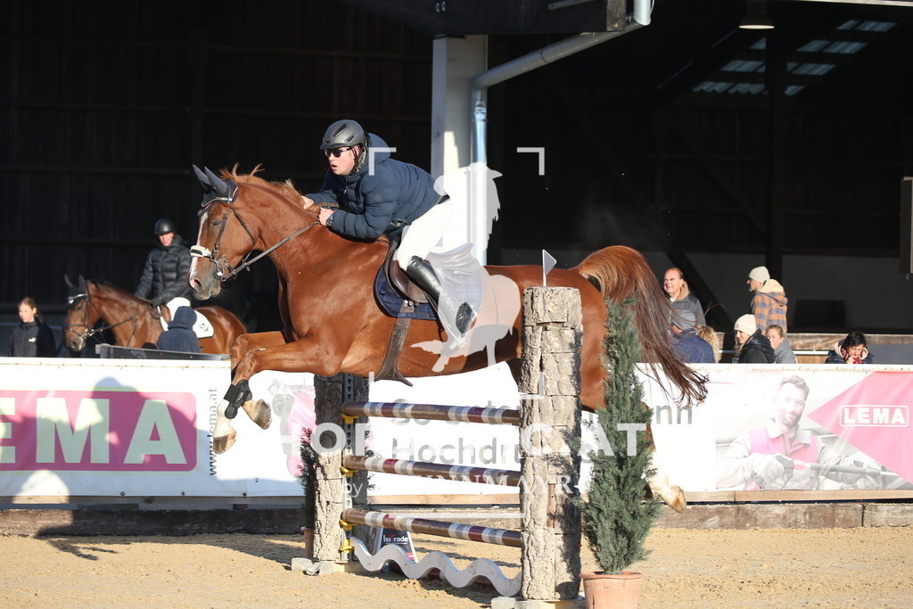DL2Q0627 | Willkommen bei Brunnmayr - Design & Fotografie – Ihrem Spezialisten für Reitturniere und Pferdeveranstaltungen in Oberösterreich, Salzburg und Bayern! Seit über 17 Jahren sind wir leidenschaftlich dabei.