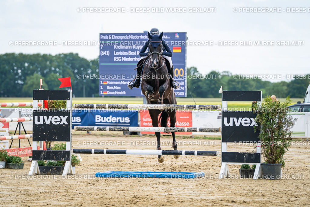 DSC06805 | Pferdegrafie