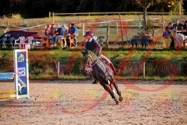 2026_10_03_Siefer-Hof_171535_Z81_12868425 | Professionelle Reitsport-, Turnier- und Eventfotografie von Robert Broda. Galerien mit ausgewählten und bearbeiteten Bildern direkt online ansehen und bestellen.