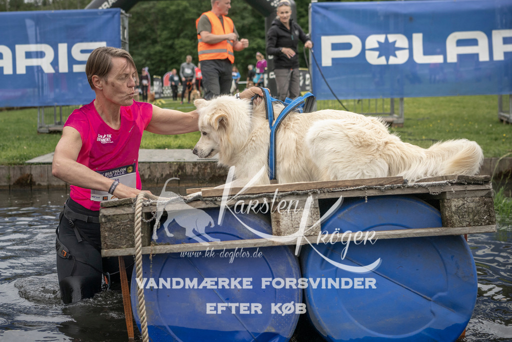 0958_ZZ93226 | kk-dogfotos