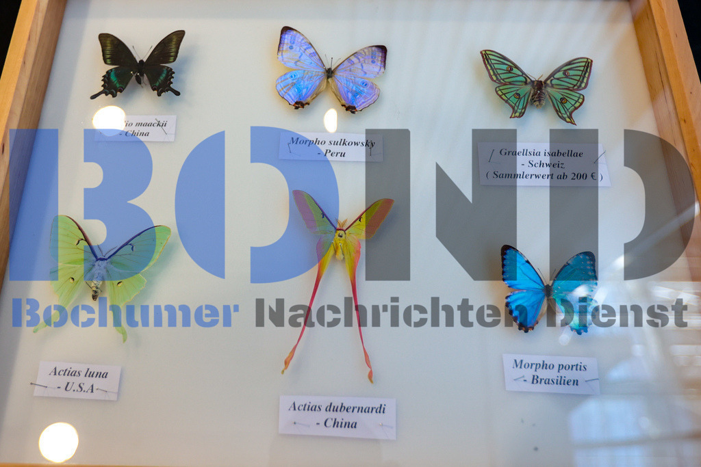 SES_INSBOC20250316-15 | bond - Realisiert mit Pictrs.com