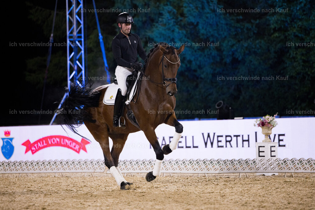 FHC2025 Isabell Werth-26391 | working equitationturnier fotograf videograf stoibphotography marixx film working equitation deutschland reitsport turnierfotografie eventfotografie equestrian events