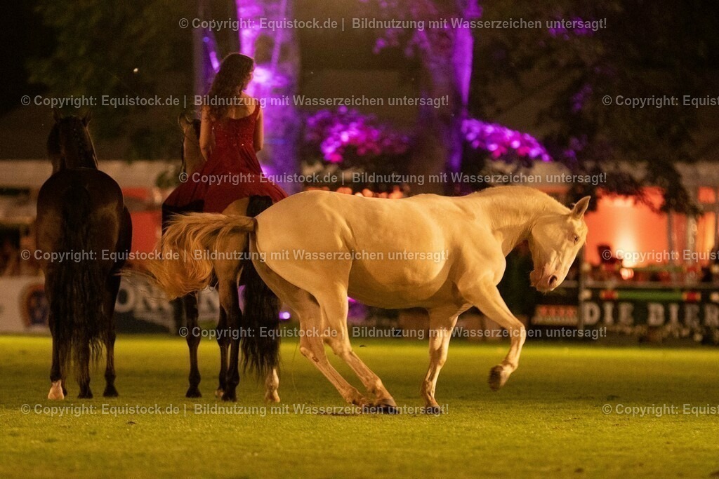 20230526_Pferdenacht_1469 | equistock