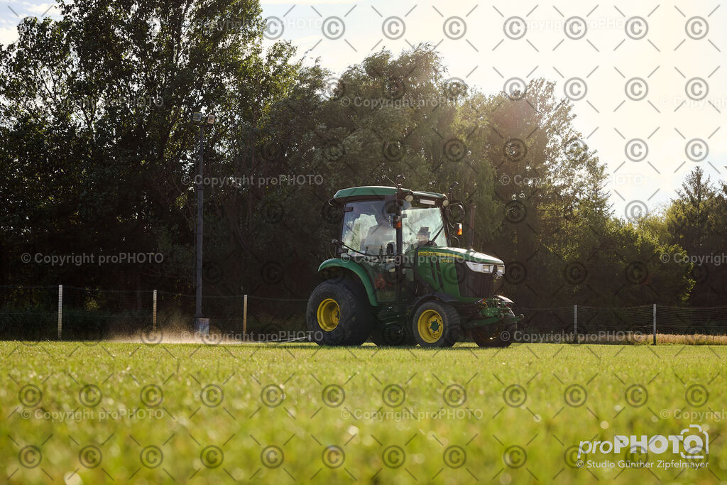 202507_Rernböck-Rasen_NZ9_1316 | proPHOTO - Realisiert mit Pictrs.com