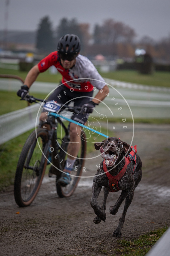 CaniXpix_0L8A1162 | Hundefotografie, Tierfotograf, Pfotenfotografie, Fotoshooting Hund, Hunde Portrait, Hundesport, Hundeportraits, Heideshooting, Hunde, Sportfotograf, Hundefotograf, Turnierhundsport, THS,  - Realisiert mit Pictrs.com