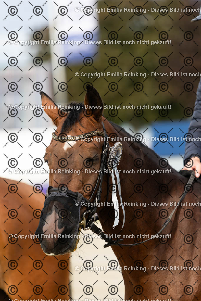 CL5A0211 | Emilia Reinking Fotografie - Realisiert mit Pictrs.com