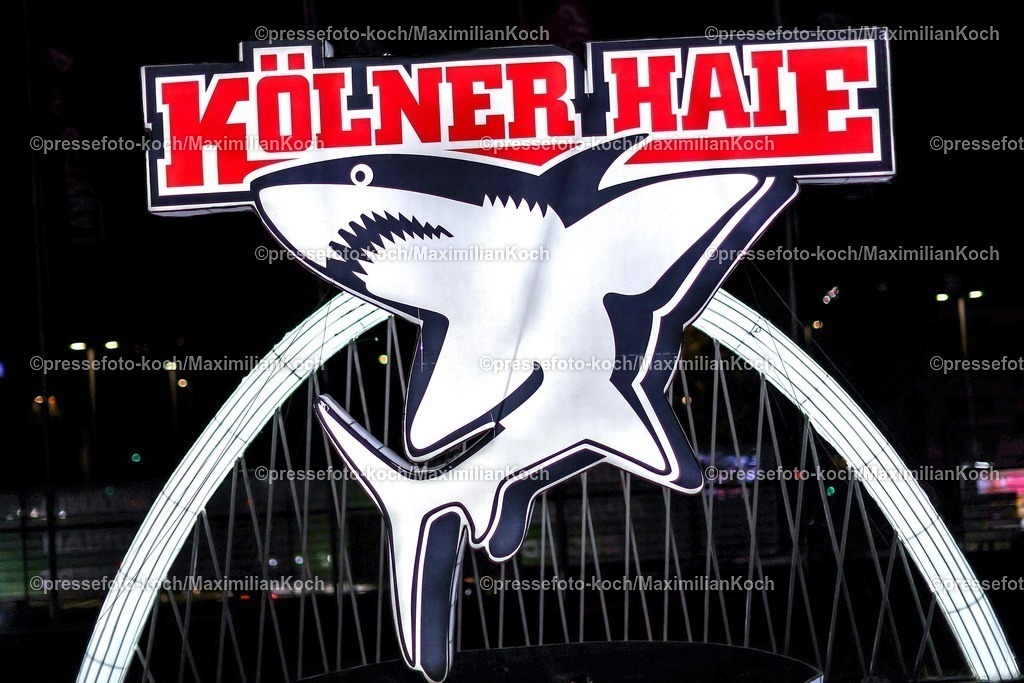Koe30122401002 | 30.12.2024, Eishockey, Penny DEL, Kölner Haie - Löwen Frankfurt, Spieltag 32, Lanxess-Arena Köln: Feature Symbolbild Symbolfoto Banner Emblem Schriftzug Logo der Kölner Haie in Nahaufnahme