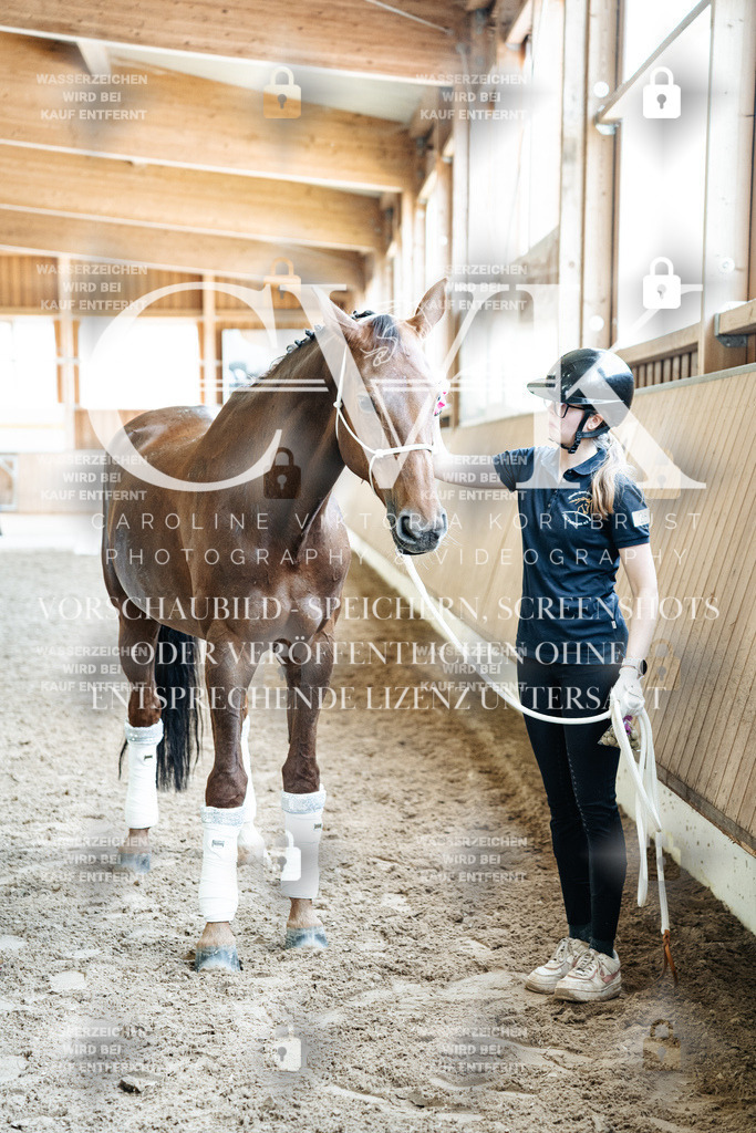 CK703264 | Turnierfotografie Pferdefotografie Trier Rheinland-Pfalz Pferdesport Reitsport Tierfotografie Sportfotografie Pferdevideo Pferdevideografie Equestrianvideography equestrianphotography  - Realized with Pictrs.com