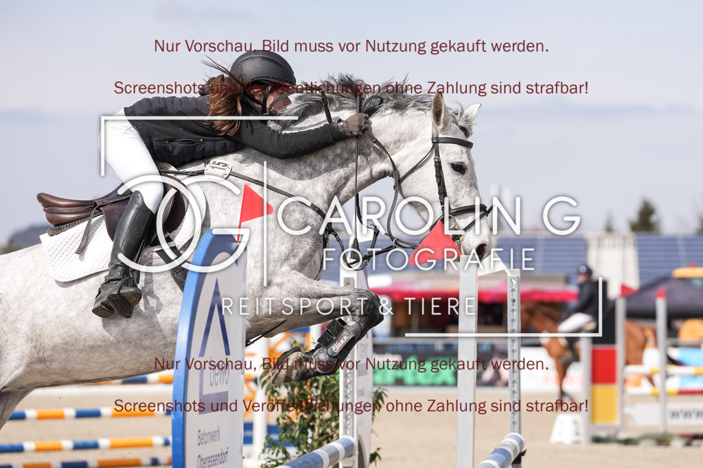 DSC05800 | Late_entry_Springturnier_Bad_Wurzach, Tina_Eisele, Zindy_5