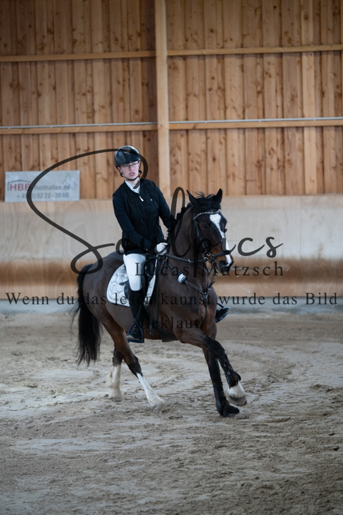 A7V00623 | Pferdefotograf