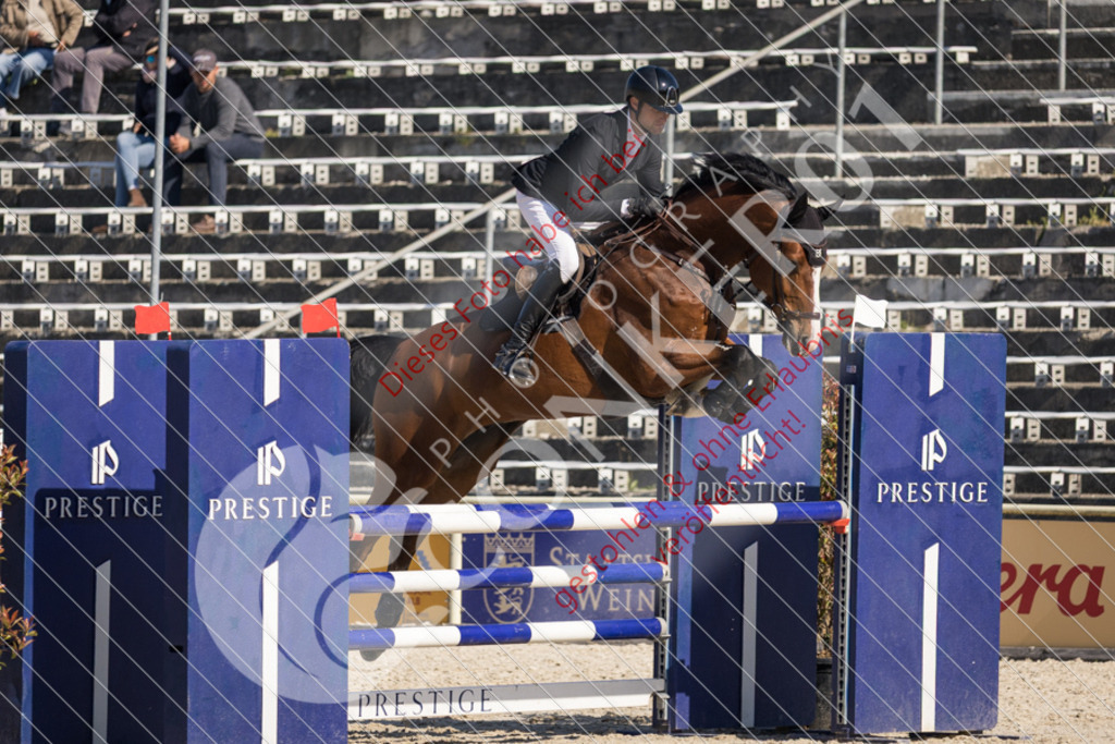 IMG_3467 | Sport-, Event- und Tierfotos in Profiqualität. Einfach auswählen, bestellen und herunterladen. Dein Moment – perfekt festgehalten.