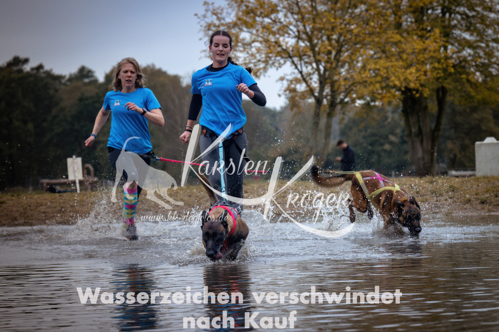 1229_ZZ90126 | kk-dogfotos