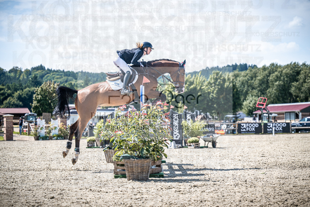 DOS_5284 | Entdecke hochwertige Reitturnierfotos von Foto Oger. Professionell, emotional und authentisch – jetzt Lieblingsmomente im Shop bestellen.Deutschlandweite Turnierfotografie. - Realisiert mit Pictrs.com