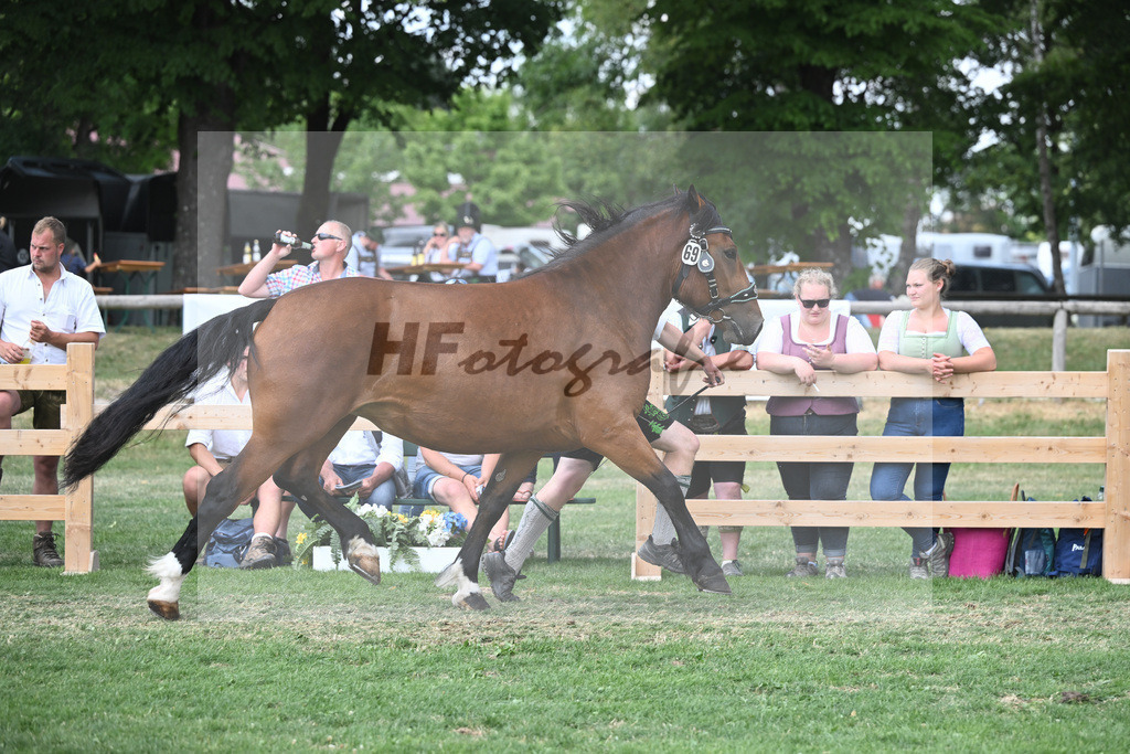 Kat-Nr. 69 Rosalie_Bauer_20231133 | hf-fotografie - Realisiert mit Pictrs.com