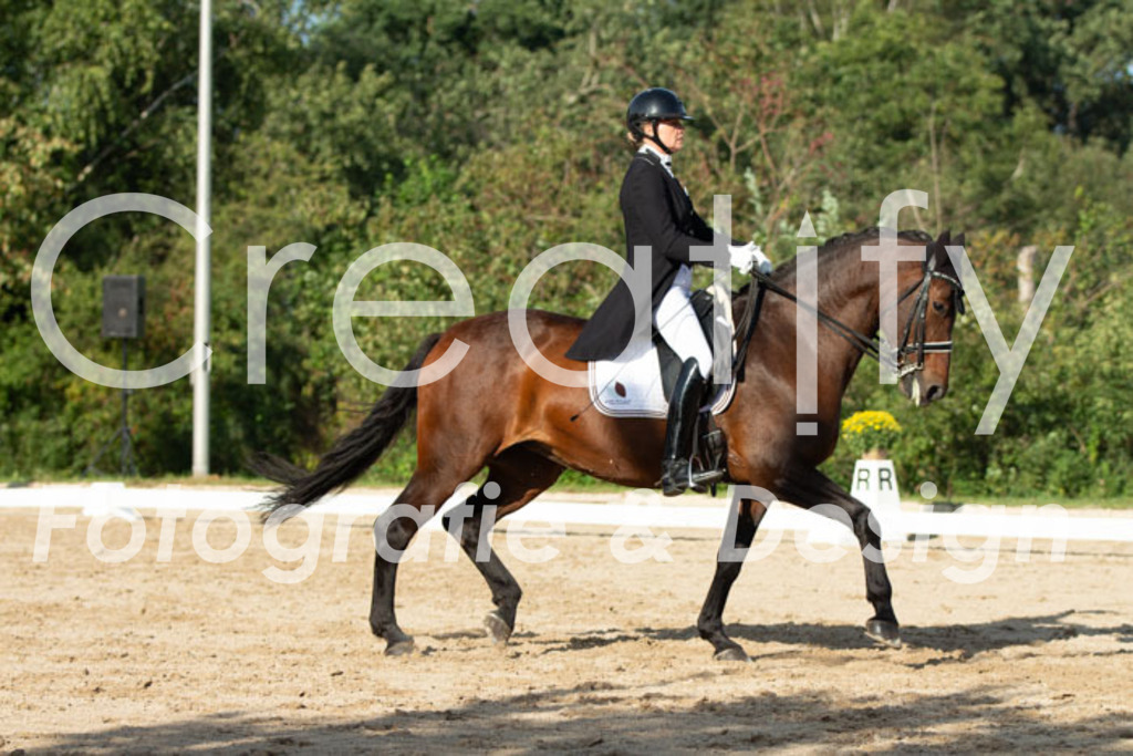 IMG_4949 | Creatify Fotografie