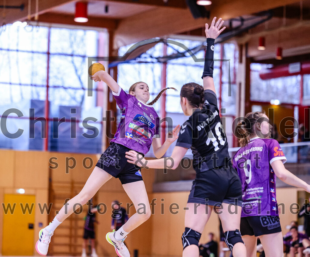 2024-12-14_064_SpVgg_Altenerding_gegen_SVA_Palzing | Erding, Deutschland, 14.12.2024:Handball, Bezirksoberliga Frauen Altbayern 2024 / 2024, 9. Spieltag, SpVgg Altenerding gegen SVA Palzing, Endergebnis: 20:30Greta Felbinger (SpVgg Altenerding, #4), Veronika Wöhrl (SVA Palzing, #10), Julia Kranich (SpVgg Altenerding, #9)Foto: Christian Riedel / fotografie-riedel.net