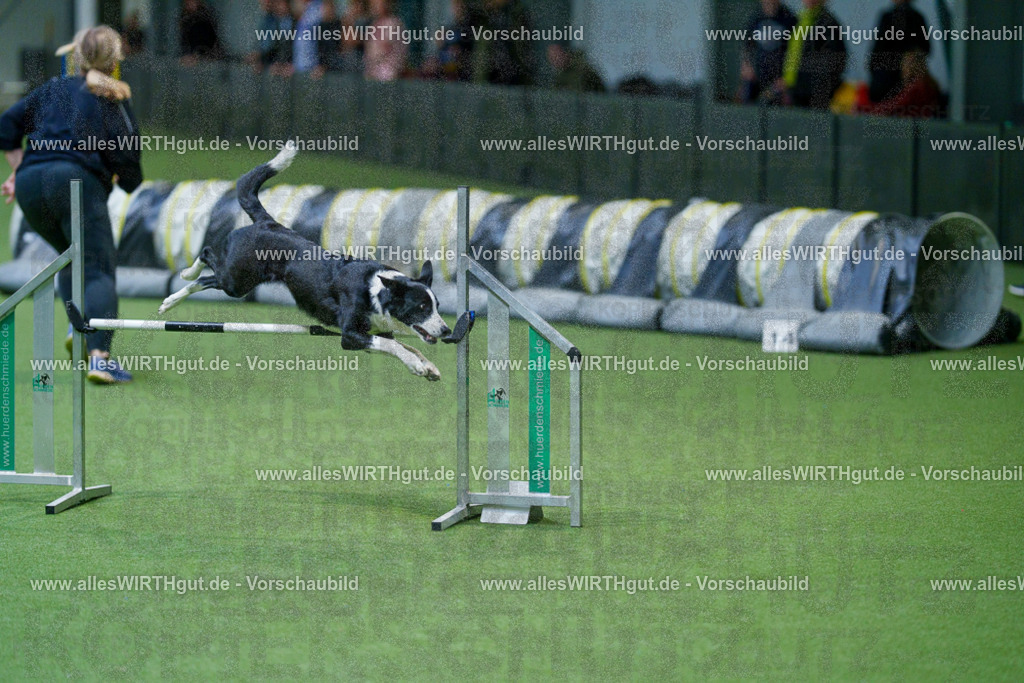 @allesWIRTHgut_Tierfotografie - www.allesWIRTHgut.de - 2604250949-7R509102 | Professionelle Tierfotografie in Mönchengladbach von Daniel Wirth (allesWIRTHgut). Liebevolle & natürliche Bilder von Hunden & Katzen für unvergessliche Erinnerungen.