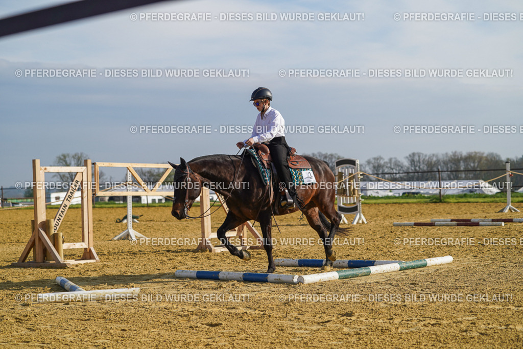 DSC00813 | Pferdegrafie