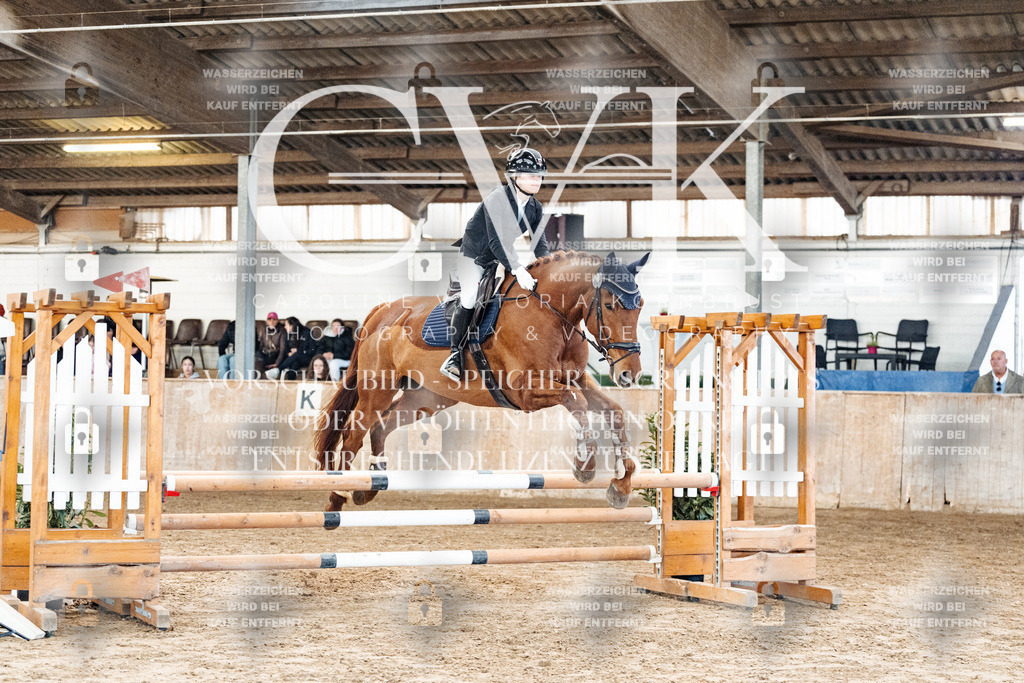 CK904084 | Turnierfotografie Pferdefotografie Trier Rheinland-Pfalz Pferdesport Reitsport Tierfotografie Sportfotografie Pferdevideo Pferdevideografie Equestrianvideography equestrianphotography  - Realized with Pictrs.com
