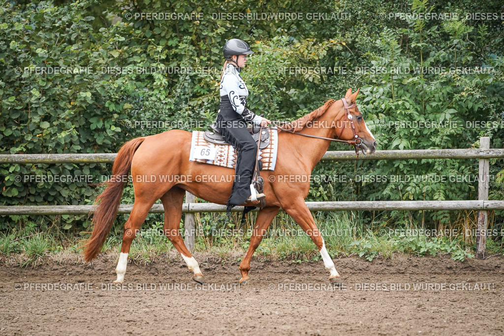 DSC01929 | Pferdegrafie