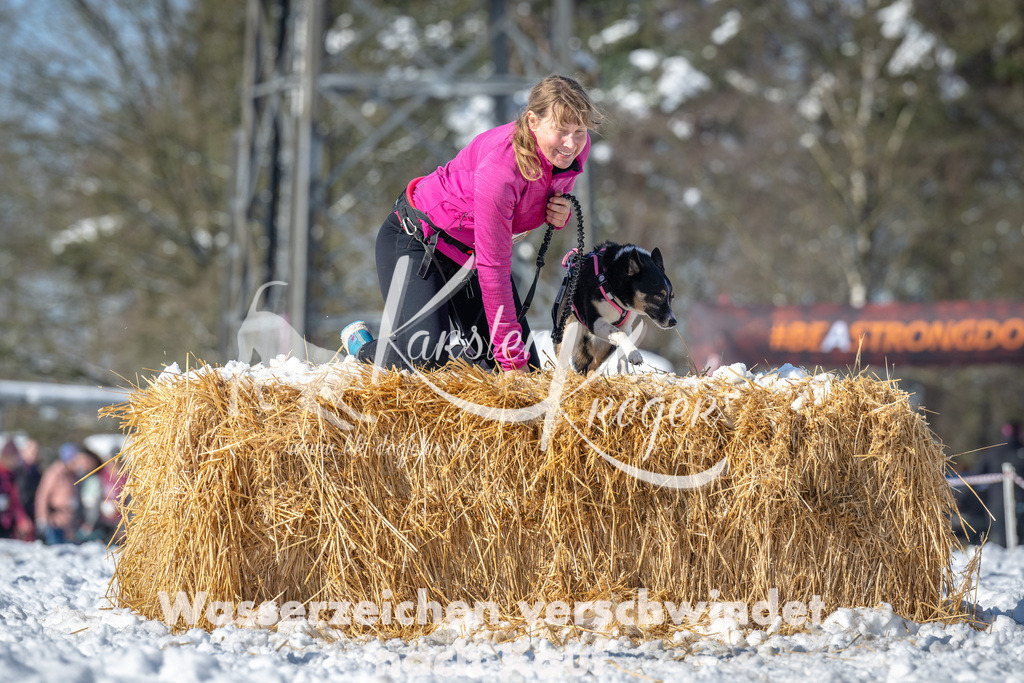 1115_ZZ90856-3 | kk-dogfotos