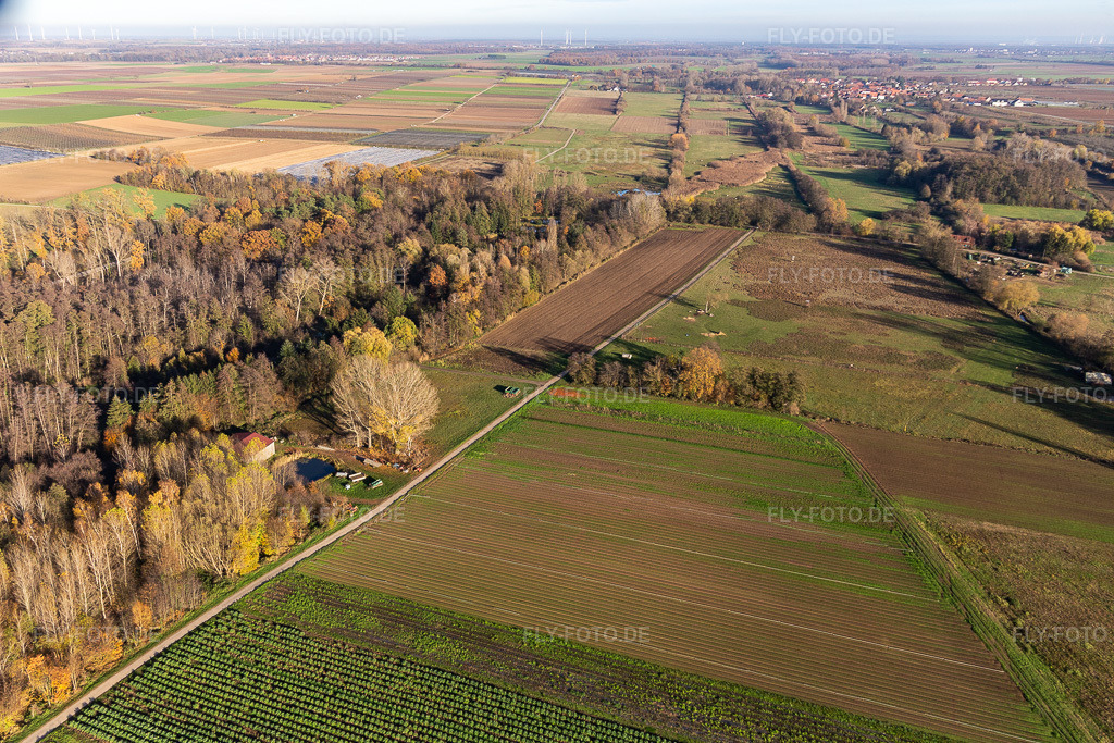 Luftbild: Billigheimer Bruch, Steinfelsbachtal zwischen Barbelroth, Hergersweiler und Winden in Barbelroth im Bundesland Rheinland-Pfalz in Deutschland. Foto: IMG_123889.jpg vom 21.11.2020 durch Werner Riehm/FLY-FOTO.de
