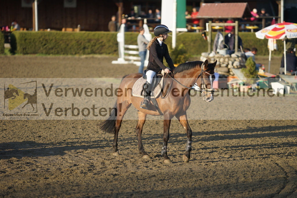DSC01918 | equestrian-live-com