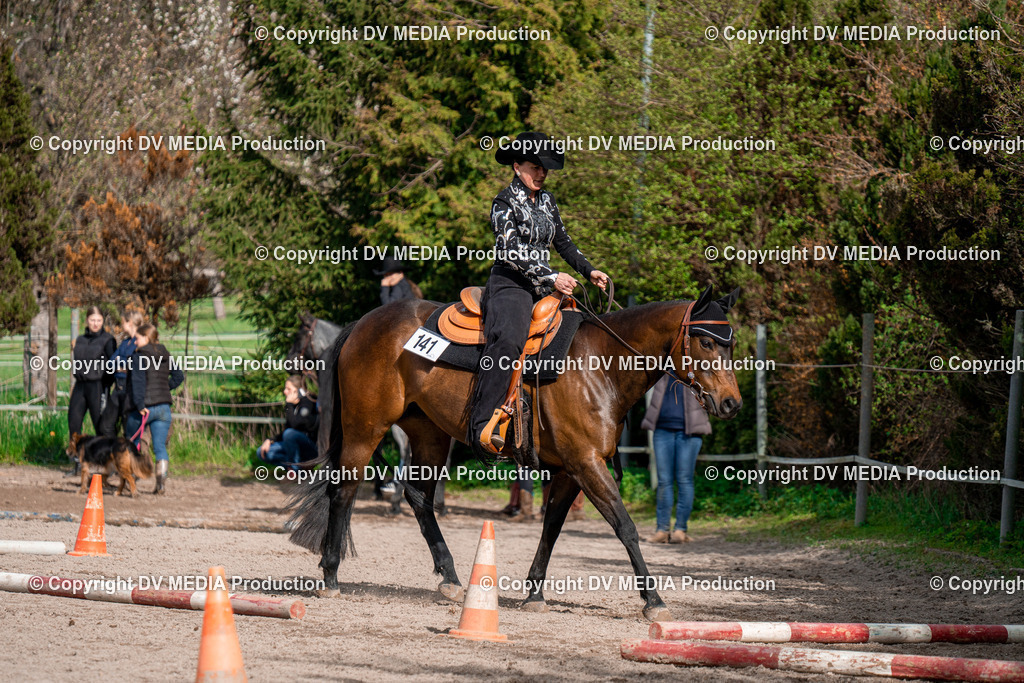 BAL02765 | dv-media-shop - Realisiert mit Pictrs.com