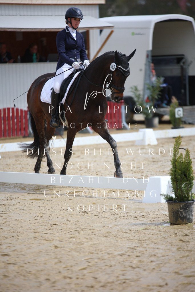 IMGT2709 | pl-fotografie