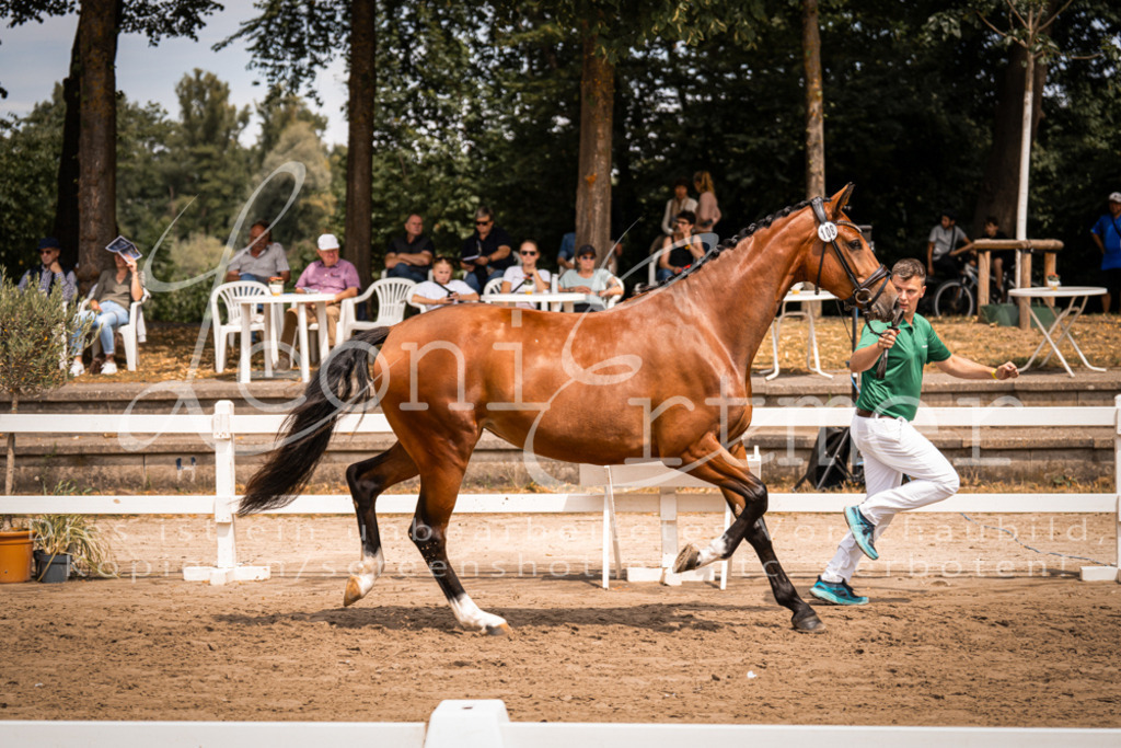 3.Fr00024 | Leoni Ertmer Photography - Realisiert mit Pictrs.com