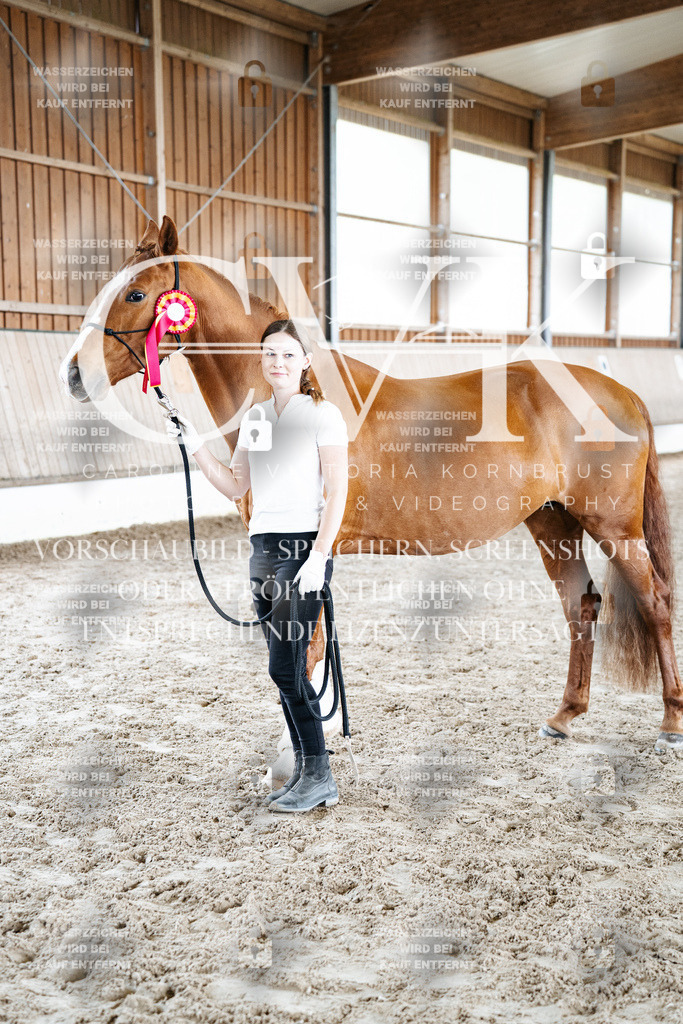 CK703243 | Turnierfotografie Pferdefotografie Trier Rheinland-Pfalz Pferdesport Reitsport Tierfotografie Sportfotografie Pferdevideo Pferdevideografie Equestrianvideography equestrianphotography  - Realized with Pictrs.com